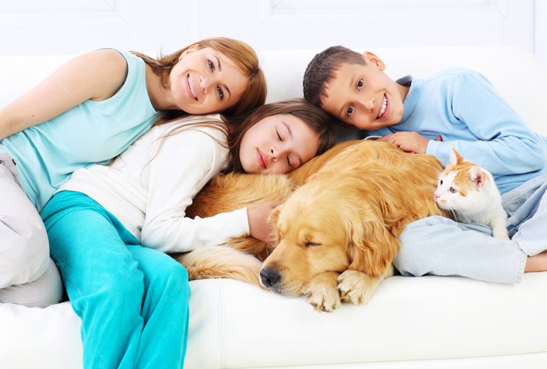 Parker-Heating-and-Air-Conditioning-family-on-couch-with-dog&cat
