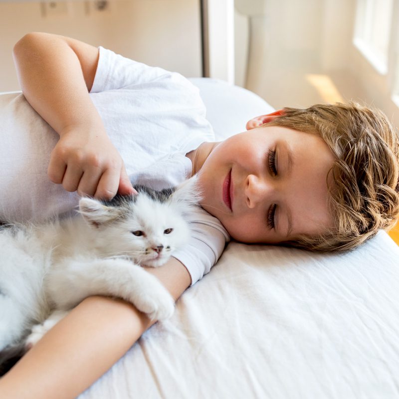 Parker-Heating-and-Air-Conditioning-little-boy-with-cat-napping